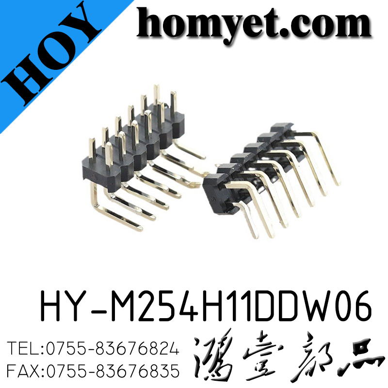 HY-M254H11DDW06
